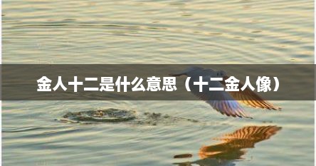金人十二是什么意思（十二金人像）