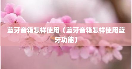 蓝牙音箱怎么用手机操作（蓝牙音箱怎么使用蓝牙模式）