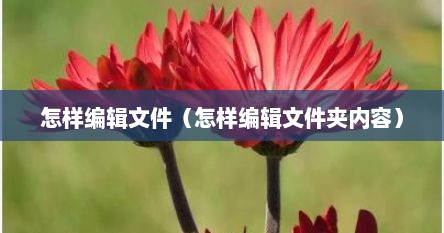 怎样编辑文件（怎样编辑文件夹内容）