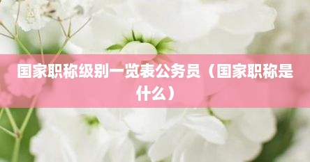 国家职称级别一览表公务员（国家职称是什么）