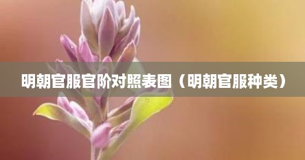 明朝官服官阶对照表图（明朝官服种类）