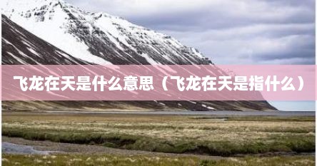 飞龙在天是什么意思（飞龙在天是指什么）