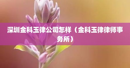 深圳金科玉律公司怎样（金科玉律律师事务所）