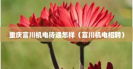 重庆富川机电待遇怎样（富川机电招聘）