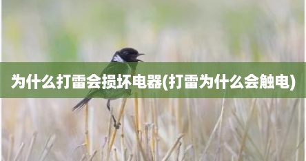 为什么打雷会损坏电器(打雷为什么会触电)