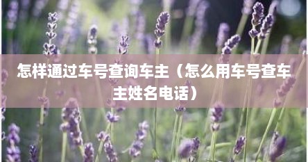 怎样通过车号查询车主（怎么用车号查车主姓名电话）