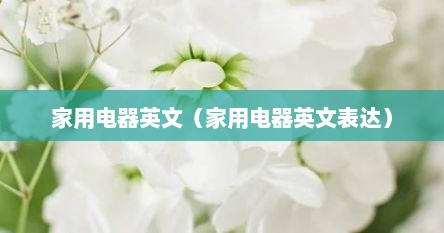 家用电器英文（家用电器英文表达）