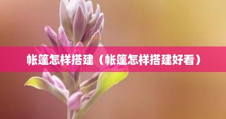 帐篷怎样搭建（帐篷怎样搭建好看）