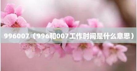 996007（996和007工作时间是什么意思）