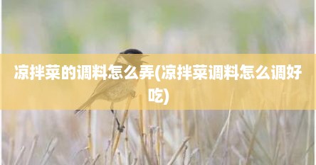 凉拌菜的调料怎么弄(凉拌菜调料怎么调好吃)