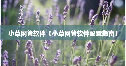 小草网管软件（小草网管软件配置指南）