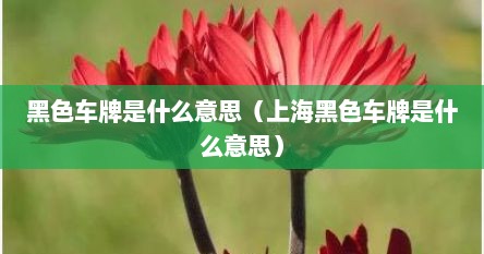 黑色车牌是什么意思（上海黑色车牌是什么意思）