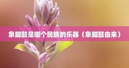 象脚鼓是哪个民族的乐器（象脚鼓由来）
