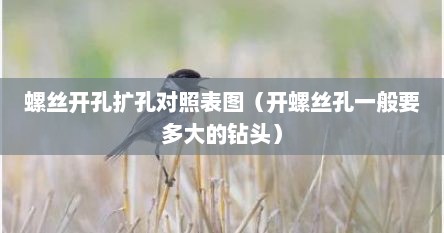 螺丝开孔扩孔对照表图（开螺丝孔一般要多大的钻头）