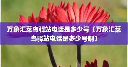 万象汇菜鸟驿站电话是多少号（万象汇菜鸟驿站电话是多少号啊）