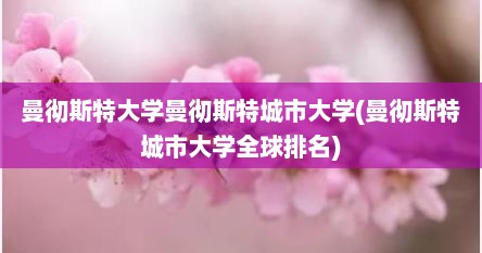 曼彻斯特大学曼彻斯特城市大学(曼彻斯特城市大学全球排名)