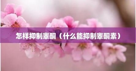 怎样抑制睾酮（什么能抑制睾酮素）