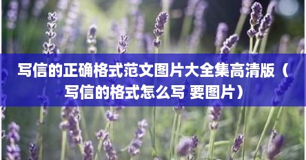 写信的正确格式范文图片大全集高清版（写信的格式怎么写 要图片）