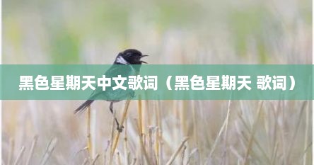 黑色星期天中文歌词（黑色星期天 歌词）
