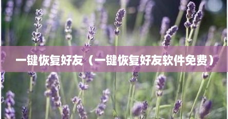 一键恢复好友（一键恢复好友软件免费）
