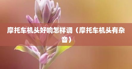 摩托车机头好响怎样调（摩托车机头有杂音）