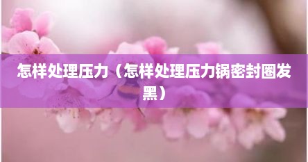 怎样处理压力（怎样处理压力锅密封圈发黑）