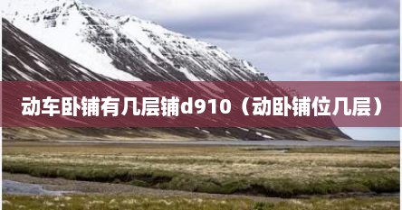 动车卧铺有几层铺d910（动卧铺位几层）