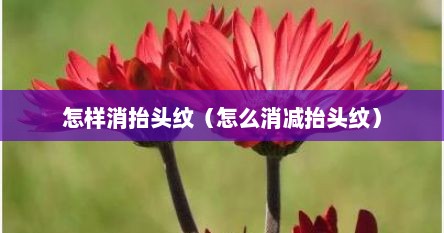 怎样消抬头纹（怎么消减抬头纹）