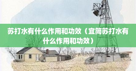 苏打水有什么作用和功效（宜简苏打水有什么作用和功效）