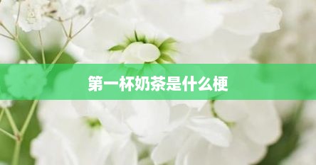第一杯奶茶是什么梗