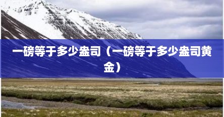 一磅等于多少盎司（一磅等于多少盎司黄金）