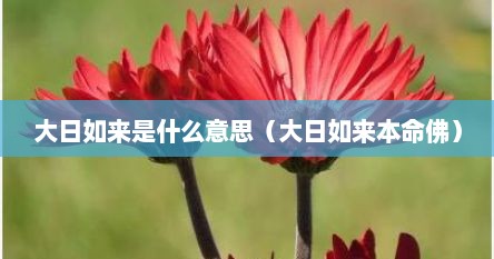 大日如来是什么意思（大日如来本命佛）