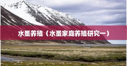 水蚤养殖（水蚤家庭养殖研究一）