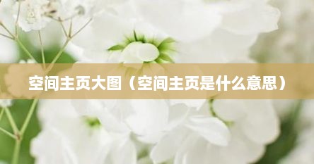 空间主页大图（空间主页是什么意思）