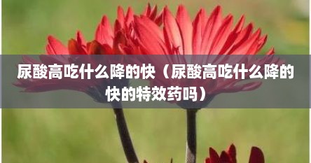 尿酸高吃什么降的快（尿酸高吃什么降的快的特效药吗）
