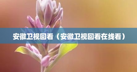 安徽卫视回看（安徽卫视回看在线看）