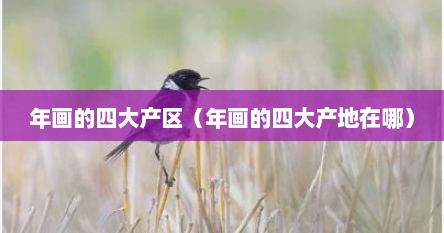 年画4大产区（中国年画的四大产区是什么）
