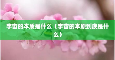 宇宙的本质是什么（宇宙的本原到底是什么）