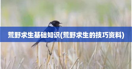 荒野求生基础知识(荒野求生的技巧资料)