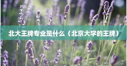 北大王牌专业是什么（北京大学的王牌）