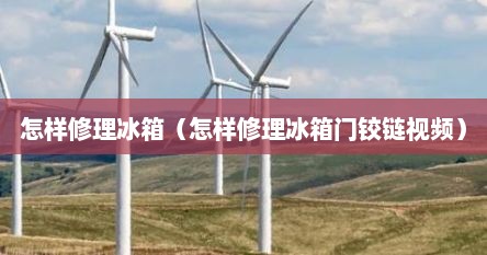 怎样修理冰箱（怎样修理冰箱门铰链视频）