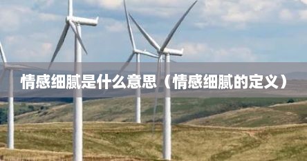 情感细腻是什么意思（情感细腻的定义）