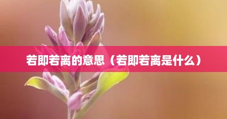 若即若离的意思（若即若离是什么）