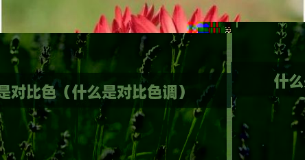 什么是对比色（什么是对比色调）