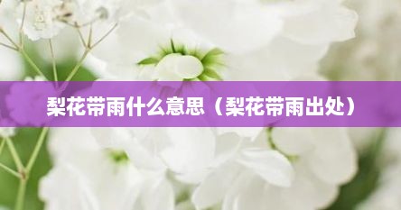 梨花带雨啥意思（梨花带雨出自于哪里）