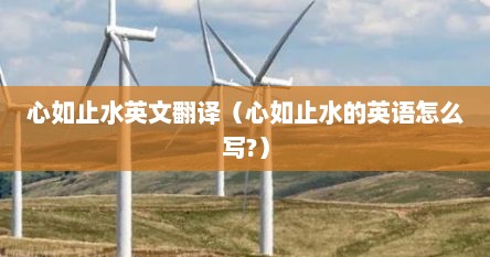 心如止水英文翻译（心如止水的英语怎么写?）