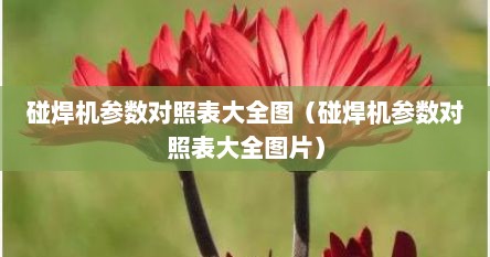 碰焊机参数对照表大全图（碰焊机参数对照表大全图片）