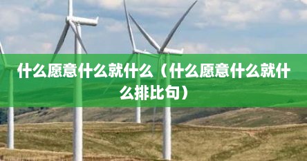 什么愿意什么就什么（什么愿意什么就什么排比句）