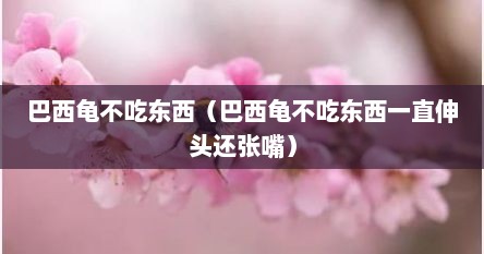 巴西龟不吃东西（巴西龟不吃东西一直伸头还张嘴）