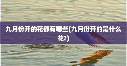 九月份开的花都有哪些(九月份开的是什么花?)
